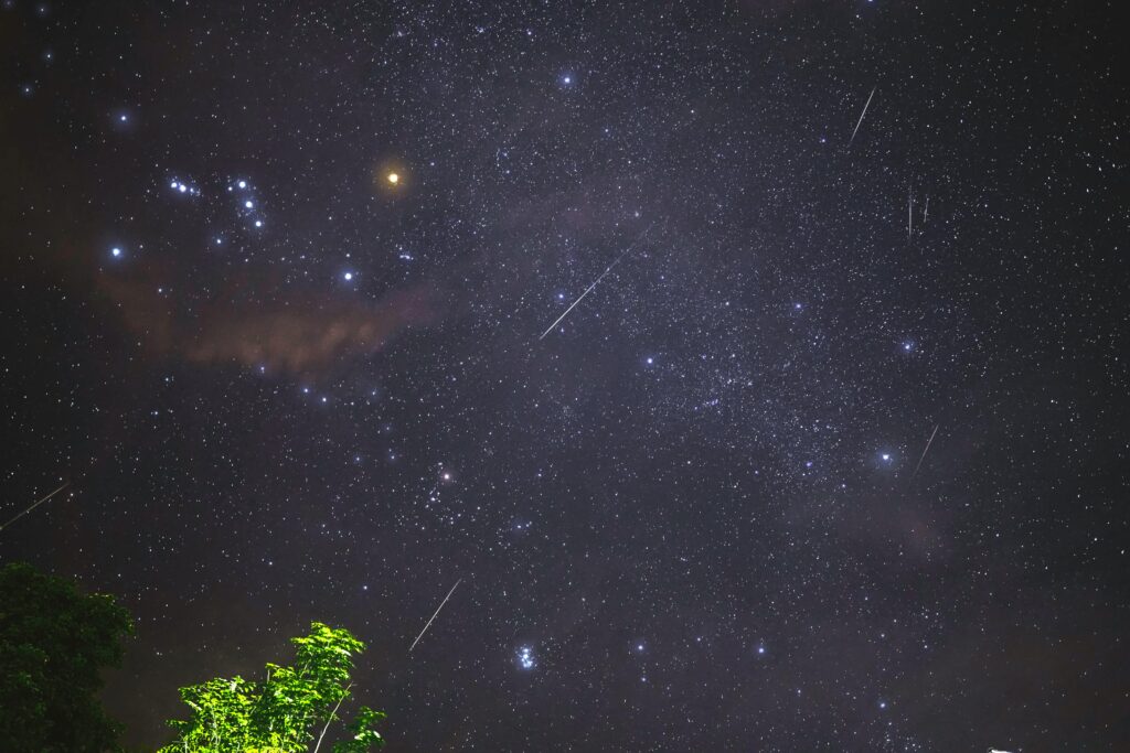 Perseids Meteor Shower