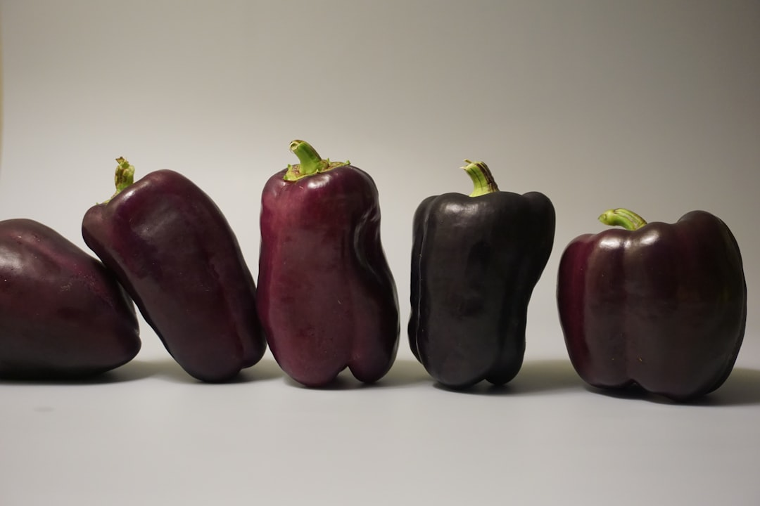 Additional illustrative image for the article.