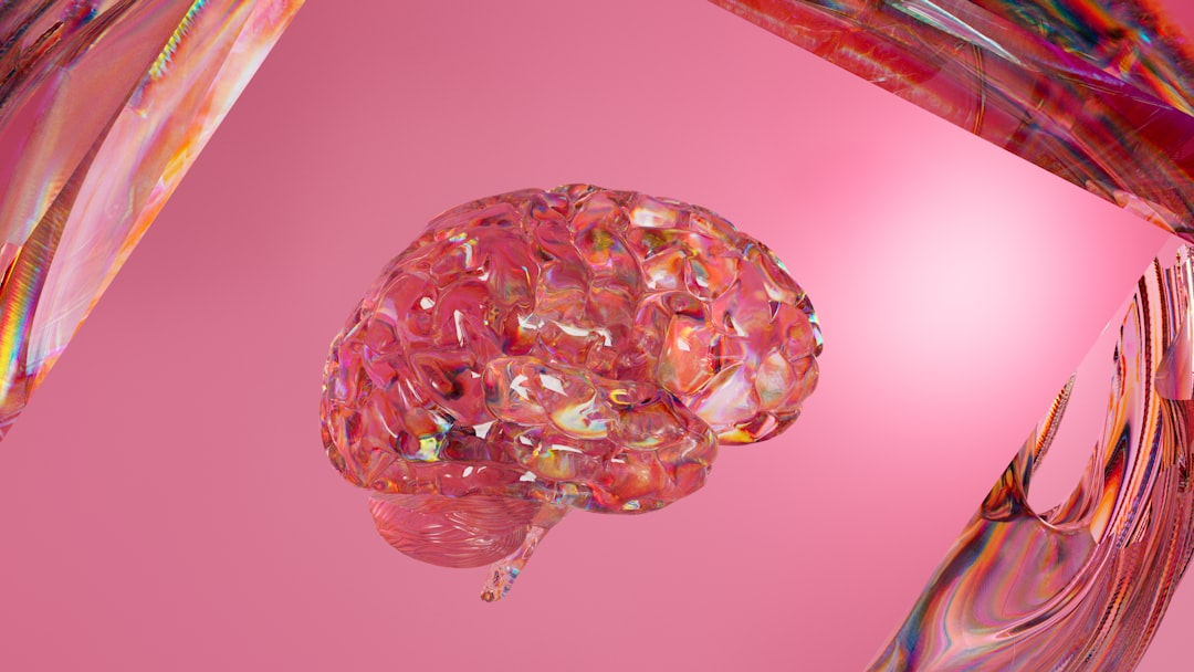 Additional illustrative image for the article.
