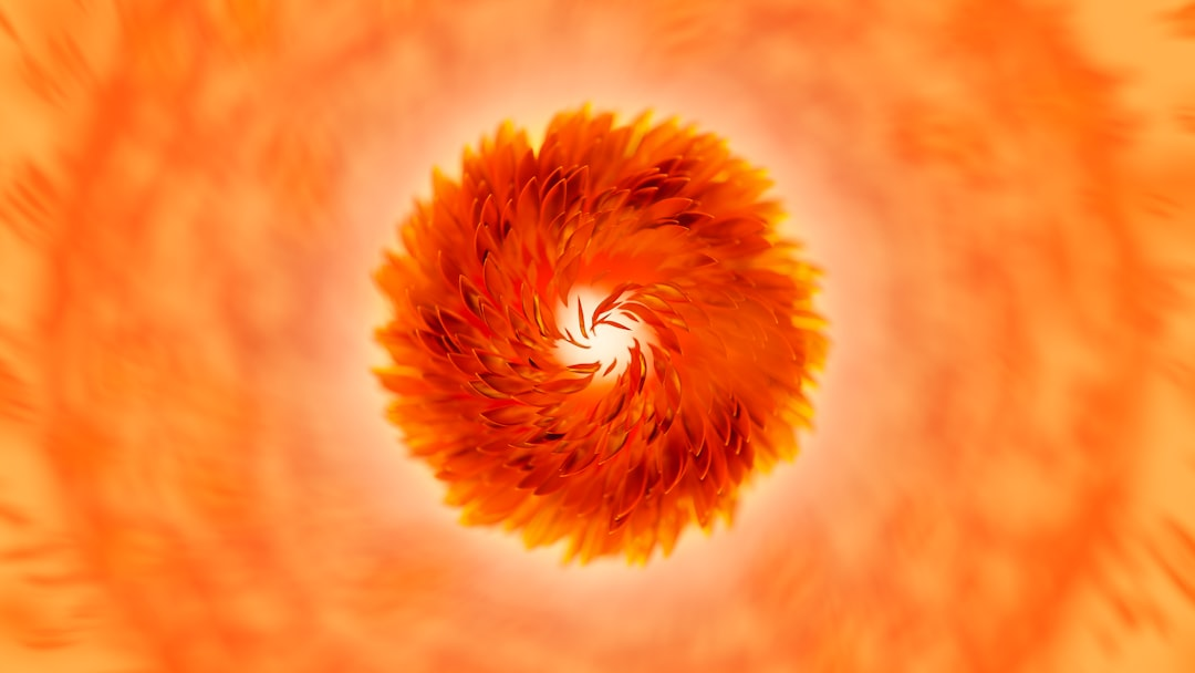 Additional illustrative image for the article.