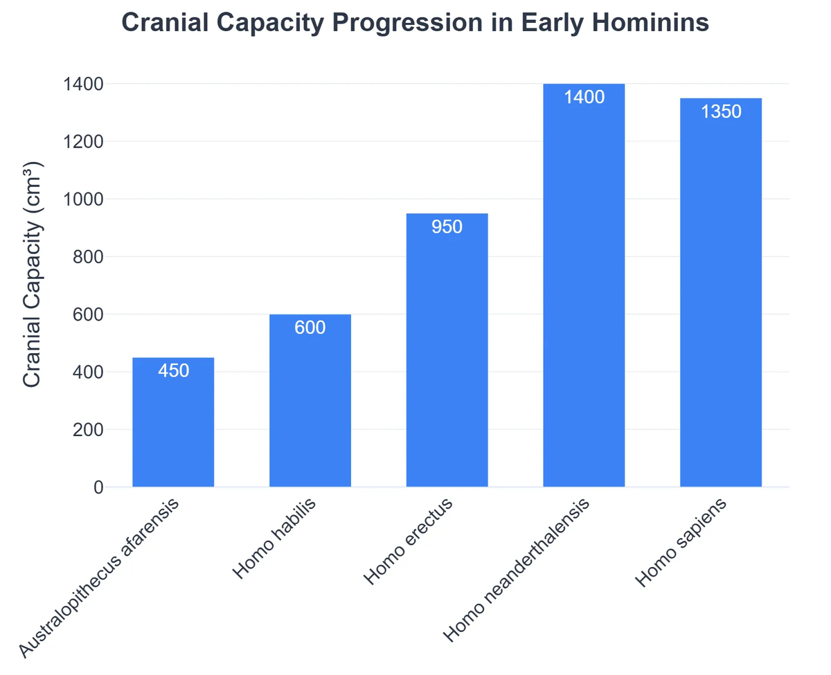 Cranial Capacity Progression in Early Hominins