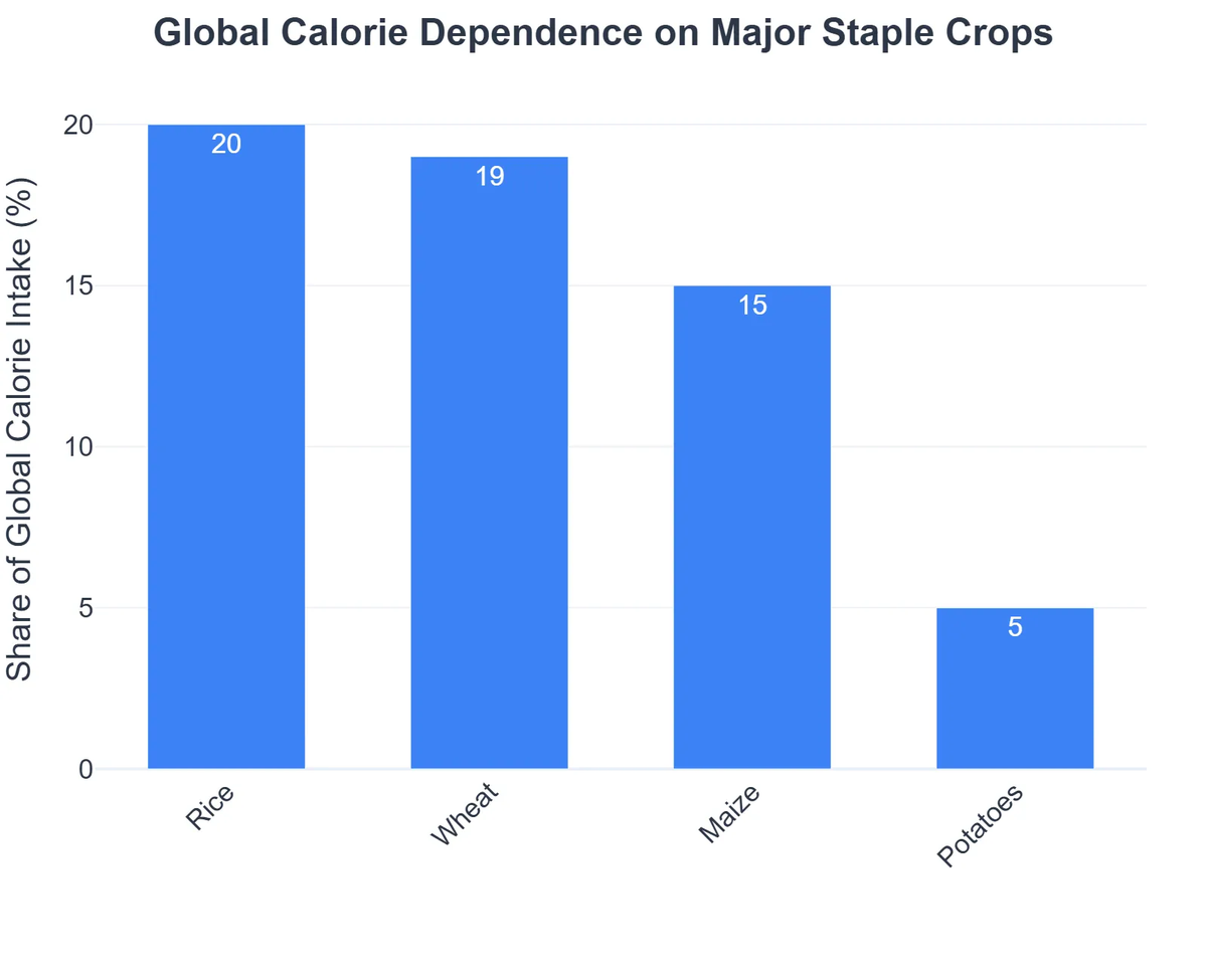 Global Calorie Dependence on Major Staple Crops