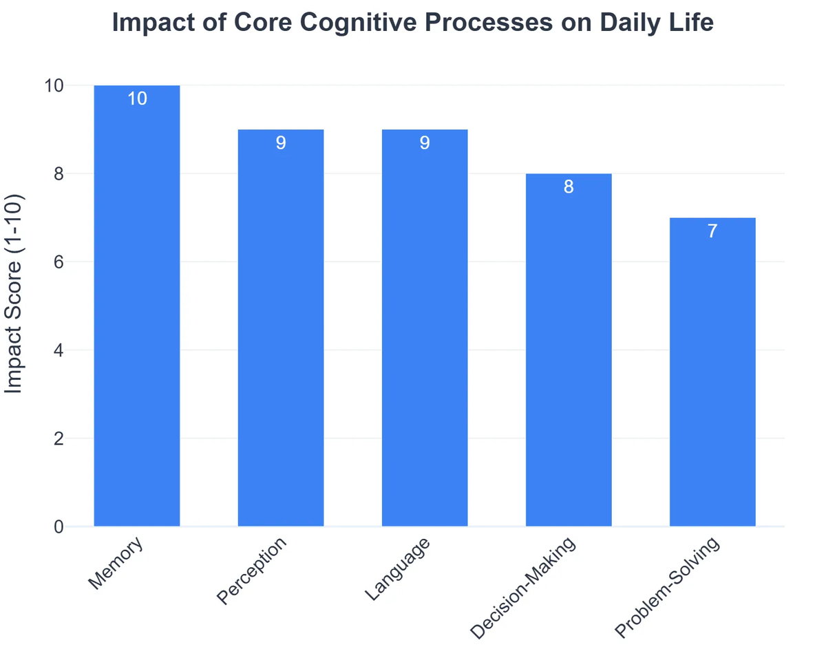 Impact of Core Cognitive Processes on Daily Life