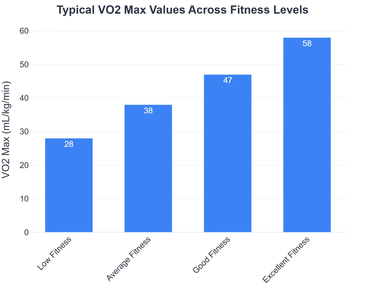 Typical VO2 Max Values Across Fitness Levels