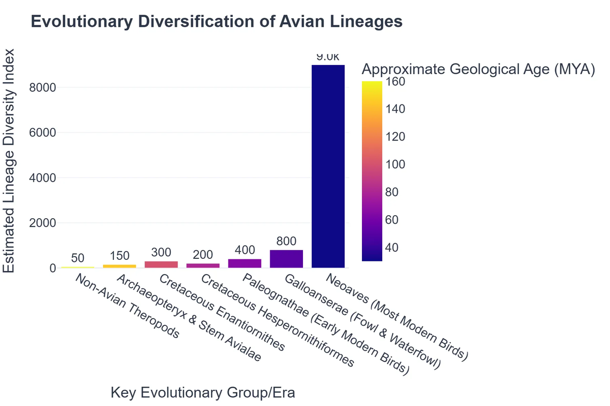 Evolutionary Diversification of Avian Lineages