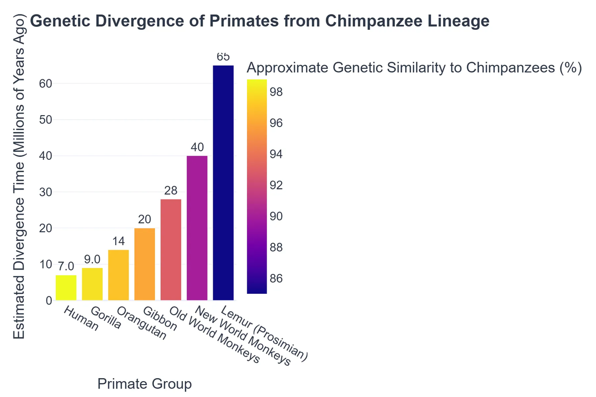 Genetic Divergence of Primates from Chimpanzee Lineage