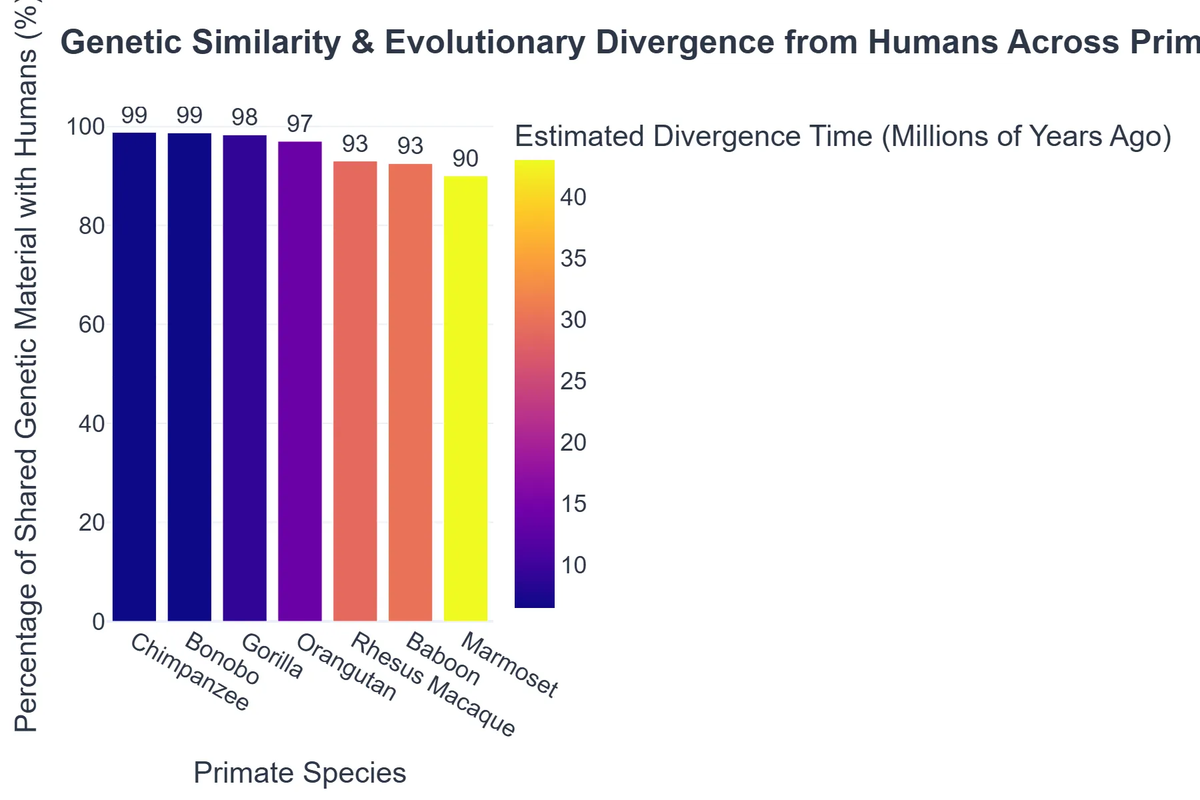 Genetic Similarity & Evolutionary Divergence from Humans Across Primate Species