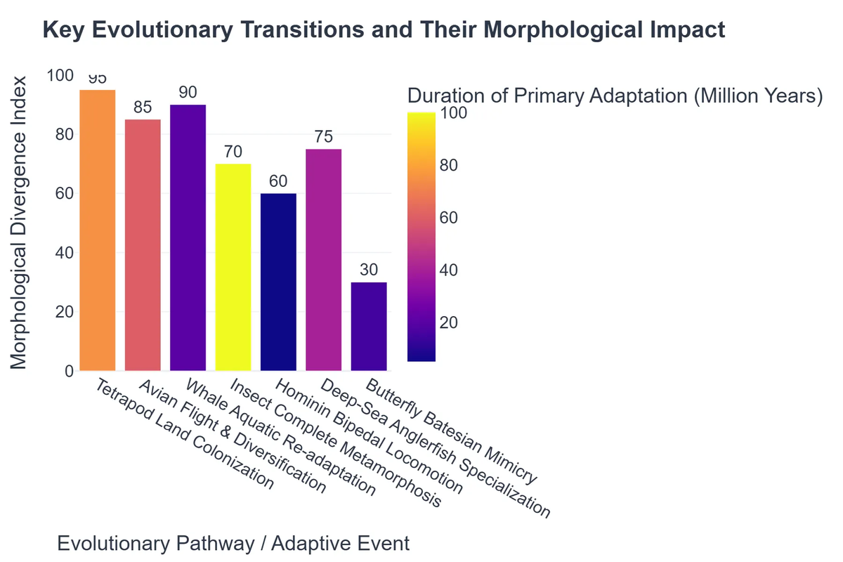 Key Evolutionary Transitions and Their Morphological Impact