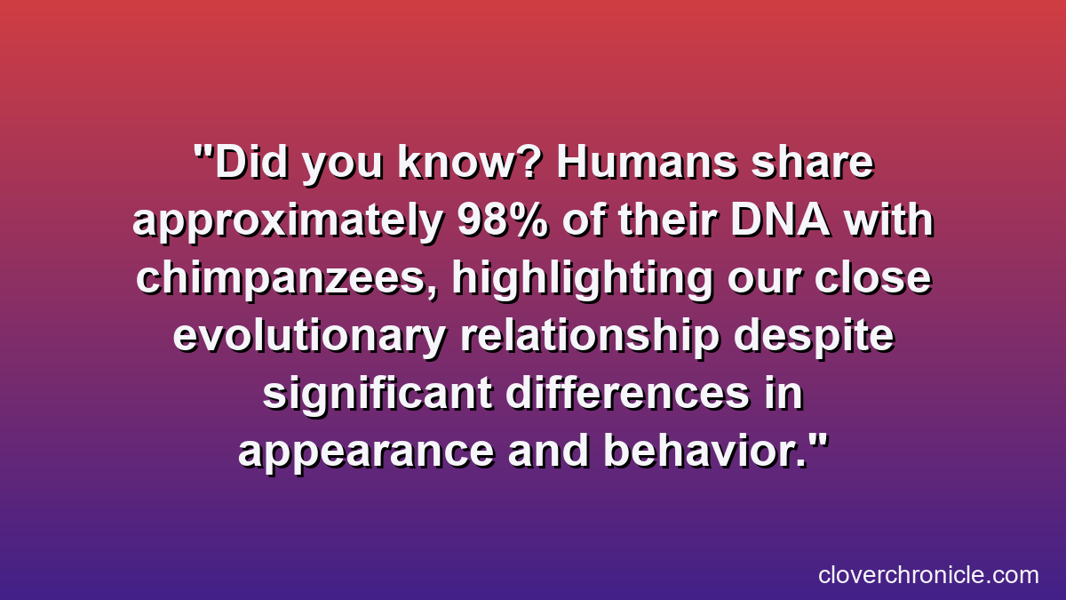 Did you know? Humans share approximately 98% of their DNA with chimpanzees, highlighting our close evolutionary relationship despite significant differences in appearance and behavior.