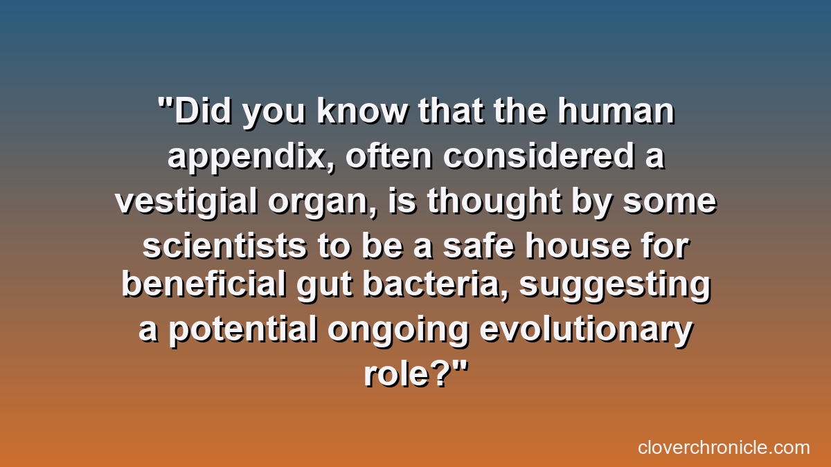 Did you know that the human appendix, often considered a vestigial organ, is thought by some scientists to be a safe house for beneficial gut bacteria, suggesting a potential ongoing evolutionary role?