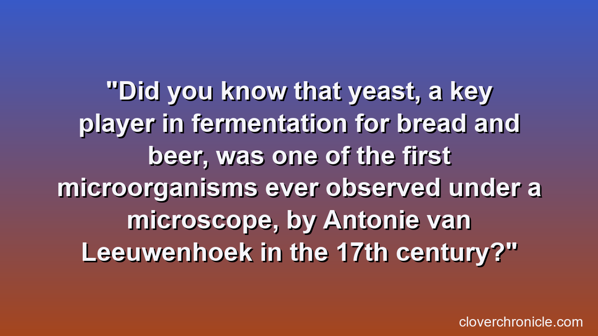 Did you know that yeast, a key player in fermentation for bread and beer, was one of the first microorganisms ever observed under a microscope, by Antonie van Leeuwenhoek in the 17th century?
