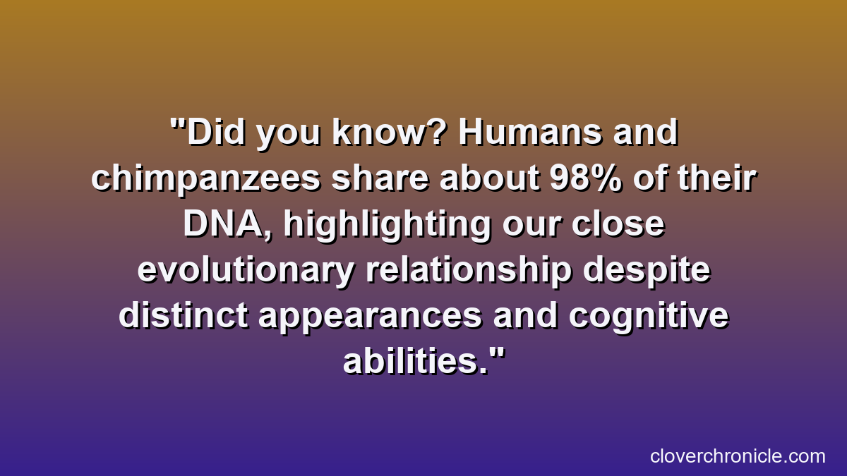 Did you know? Humans and chimpanzees share about 98% of their DNA, highlighting our close evolutionary relationship despite distinct appearances and cognitive abilities.