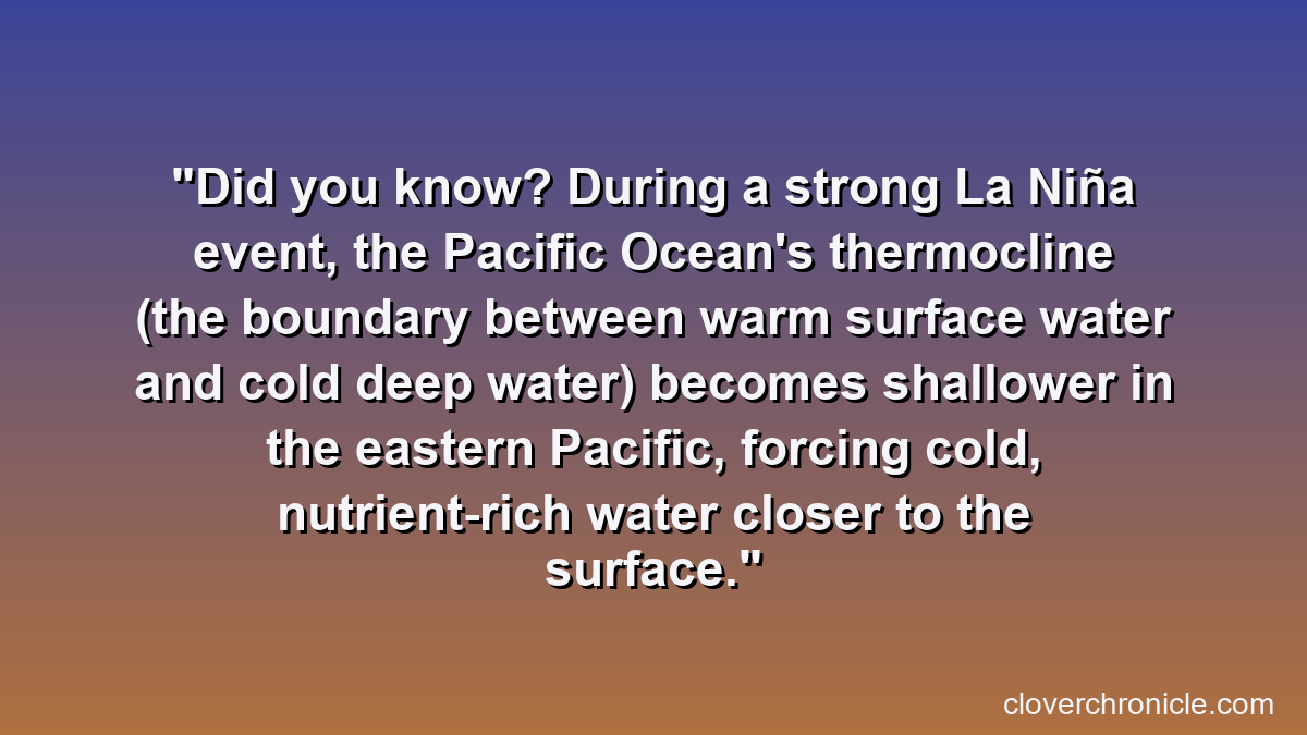 Did you know? During a strong La Niña event, the Pacific Ocean's thermocline (the boundary between warm surface water and cold deep water) becomes shallower in the eastern Pacific, forcing cold, nutrient-rich water closer to the surface.