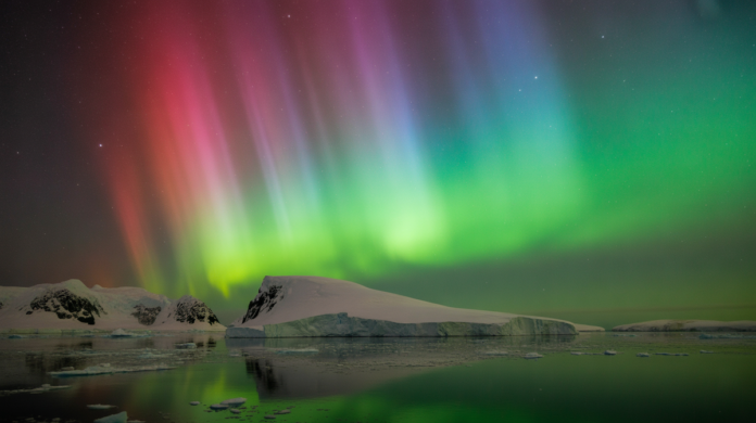 Vibrant green and pink aurora australis shimmer over a pristine Antarctic ice shelf under a clear, starlit night sky.
