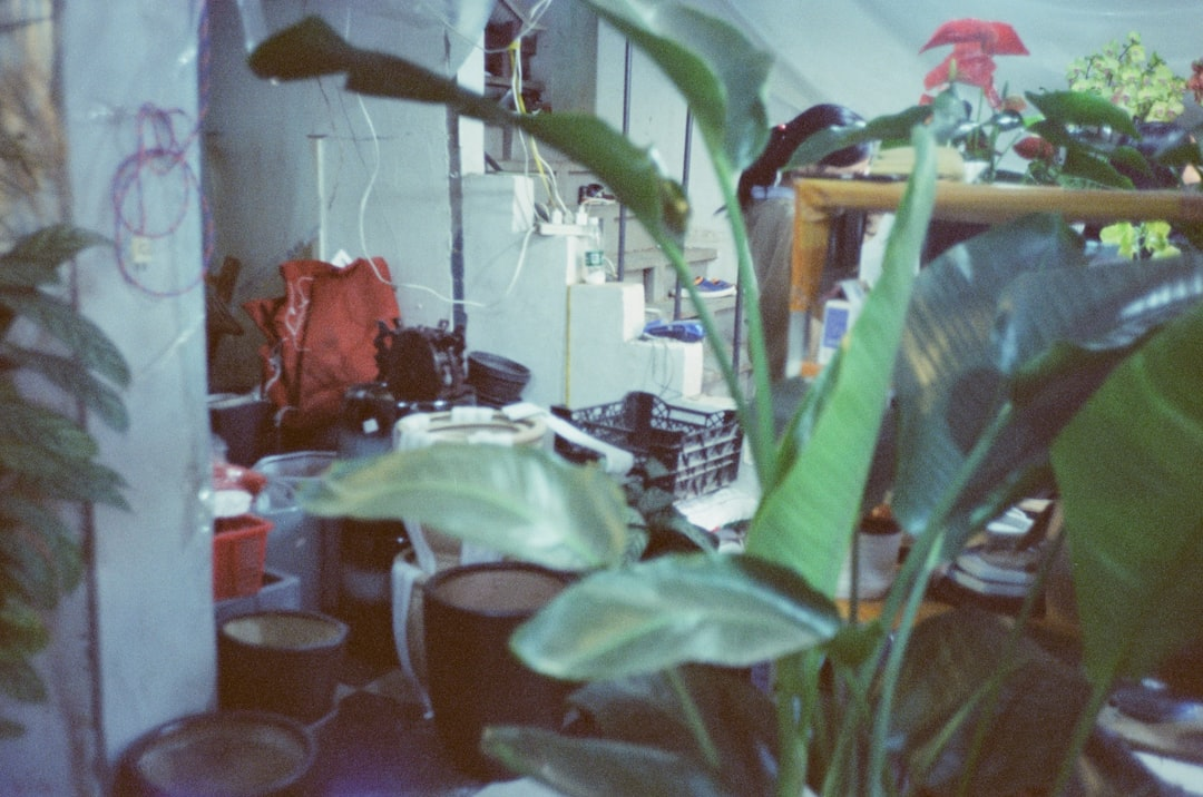 A vibrant, high-angle shot of a minimalist kitchen counter featuring common items like fresh fruit, a coffee cup, and a plant, subtly interwoven with glowing DNA helices, cell patterns, and intricate molecular bonds.