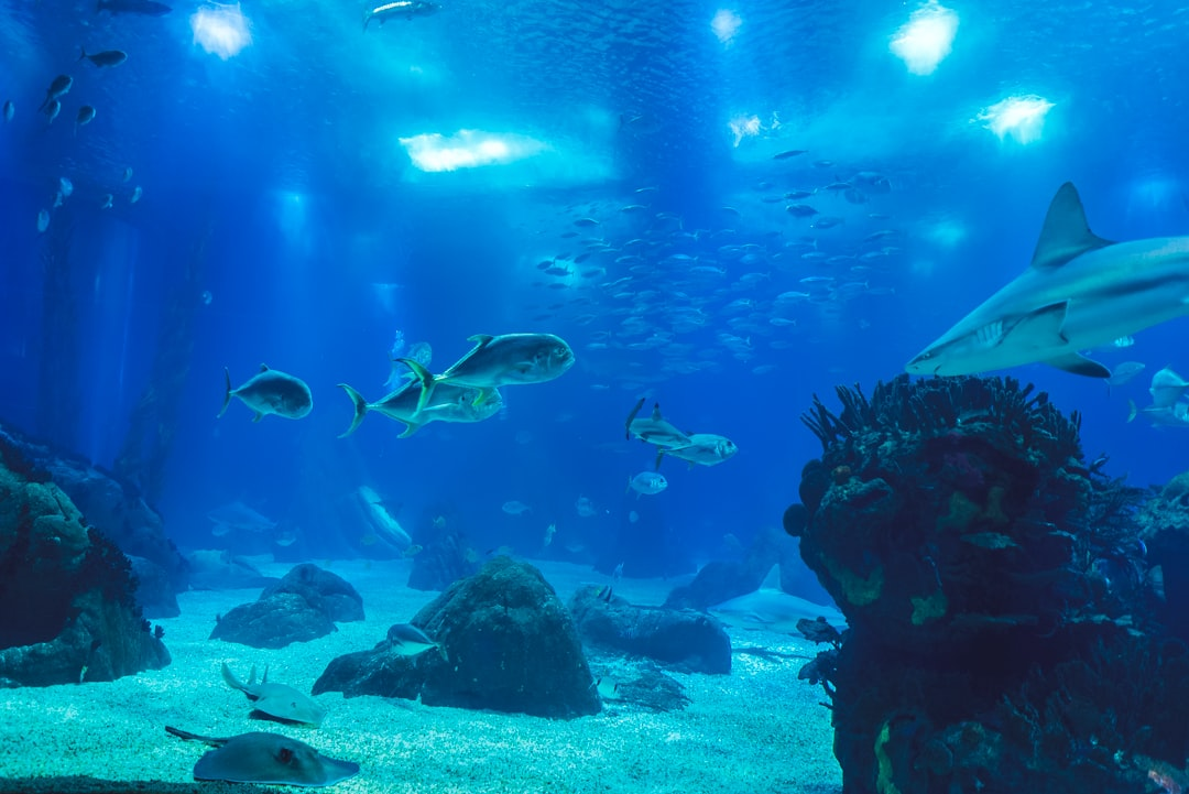 A majestic breaking ocean wave transitions seamlessly into stylized cloud formations above, while a luminous cross-section beneath reveals diverse underwater ecosystems and geological features, symbolizing Earth's interconnected aquatic systems.