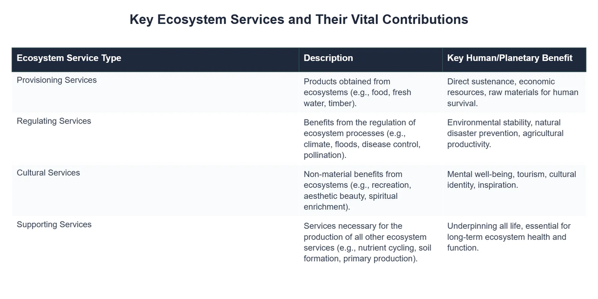 Key Ecosystem Services and Their Vital Contributions