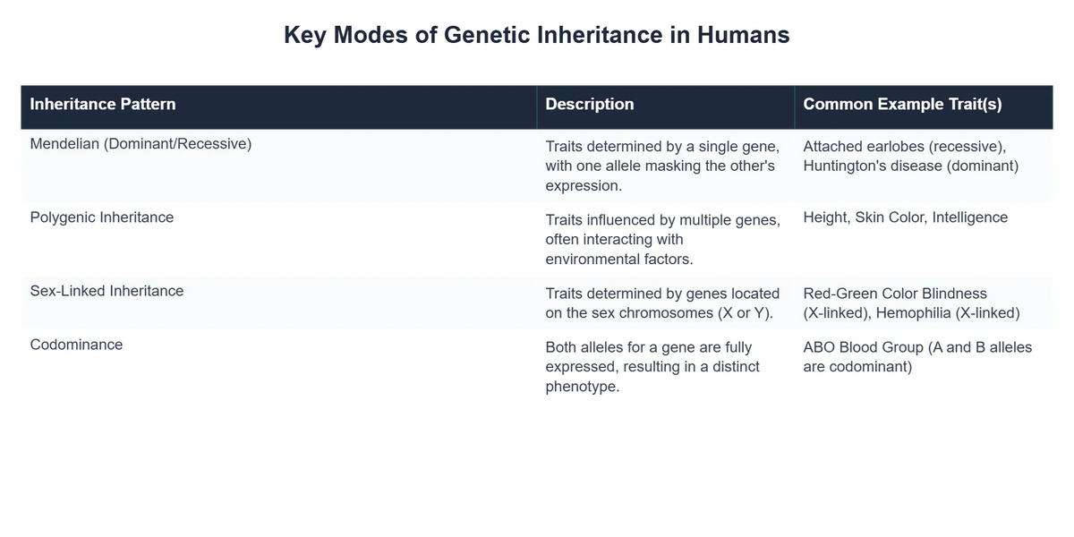 Key Modes of Genetic Inheritance in Humans