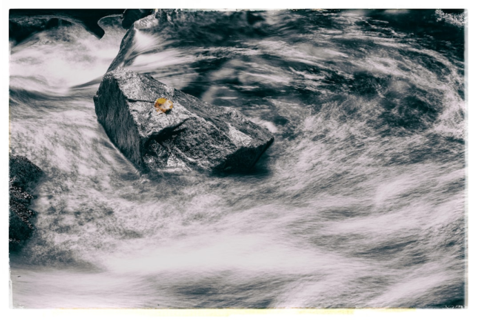 Monochromatic long-exposure captures a powerful river current swirling around a prominent dark rock with a lone autumn leaf, illustrating turbulent fluid dynamics relevant to acoustic black hole analogies.