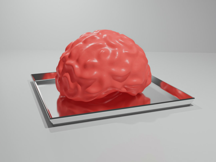 Conceptual red brain on a sleek silver tray, illustrating cognitive optimization and nootropics for biohacking discussions.