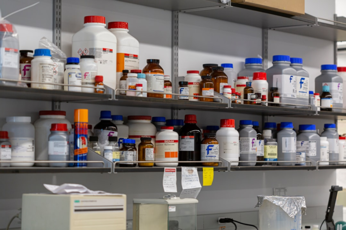 Rows of neatly arranged chemical reagents and compounds in various bottles on metal shelves signify a well-stocked and active biotechnology laboratory.