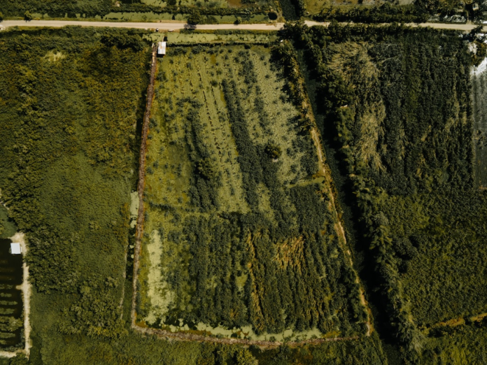 Overhead drone view of lush green agricultural fields, featuring varied crops and irrigation, symbolizing sustainable farming and harvests.