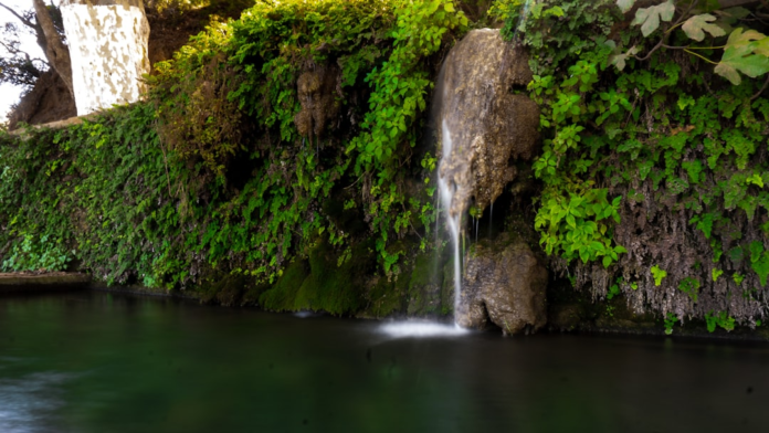 A small, misty waterfall cascades into a tranquil dark pool, surrounded by a vibrant, diverse wall of green ferns and mosses, highlighting rich community biodiversity within an aquatic ecosystem.