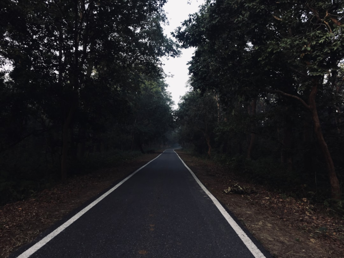 A long, dark asphalt road with white lines curves through a dense, shadowy forest, symbolizing the winding path of exploring different perspectives on complex ideas.