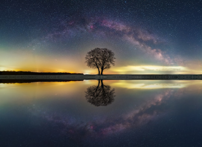 A solitary bare tree stands silhouetted against a brilliant Milky Way galaxy, perfectly mirrored in tranquil water under a vast, star-filled night sky, evoking profound cosmic contemplation.