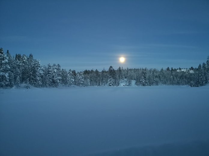 A bright moon illuminates a serene, snow-covered winter forest and a vast frozen expanse under a deep blue sky, evoking the desolate beauty of distant, icy worlds like Europa.