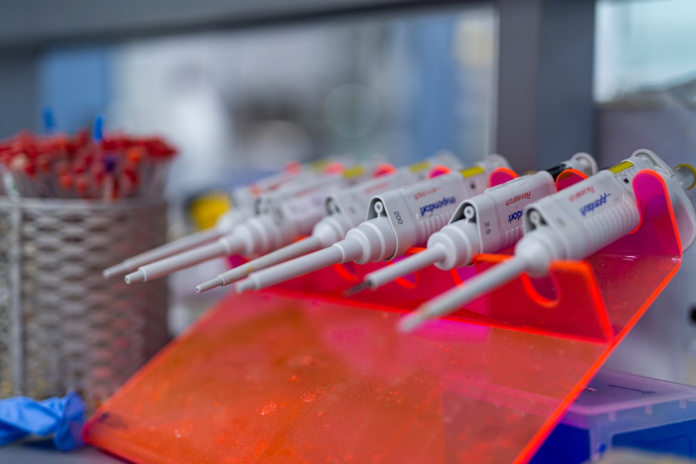 White laboratory pipettes are neatly displayed on an orange stand within a clean research facility, essential tools for genetic engineering and biopharmaceutical innovation.