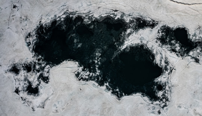 Aerial view showcasing dark, abstract shapes of open water embedded within vast, fractured white ice, illustrating the dynamic geological patterns of a frozen landscape.