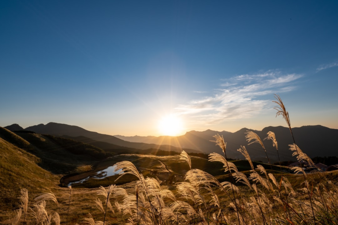 Vast golden grasses illuminate a serene mountain landscape and small pond under a brilliant sunset, evoking profound calm and well-being.