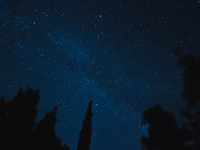 A deep blue night sky densely packed with countless stars is seen over dark tree silhouettes, evoking the majestic cosmic expanse.