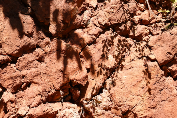 Reddish-brown fractured earth and rock face, illuminated by dappled sunlight and shadows of leaves, symbolizing Earth's dynamic geological composition.