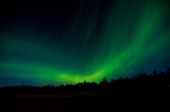 Majestic green aurora lights glow brightly across a star-studded night sky above a dark forest and distant mountains.