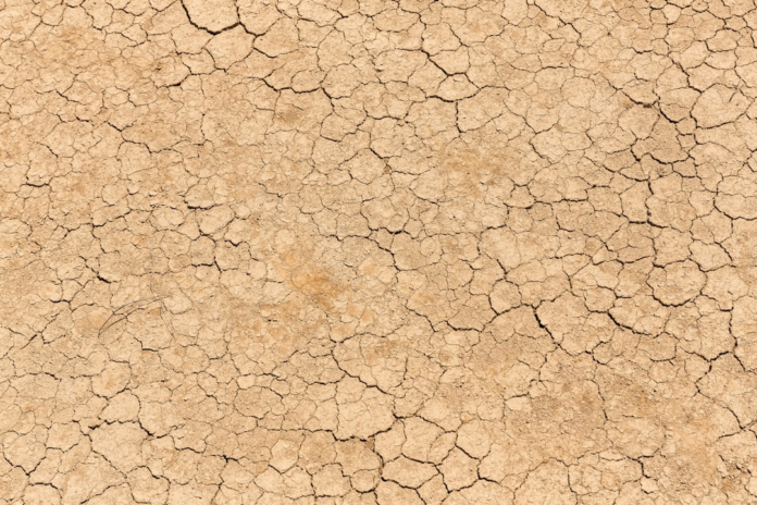Close-up of severely cracked and fractured earth, visually representing the stresses and potential fault lines within the Earth's crust related to tectonic activity.
