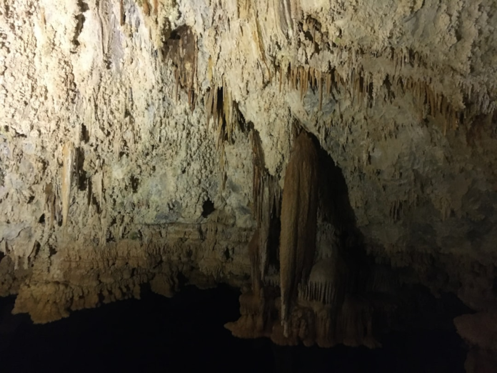An illuminated underground rock chamber reveals intricate geological formations, including numerous textured stalactites and a massive central column extending into dark water below.
