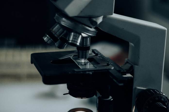 An illuminated laboratory microscope with a sample slide on its stage, symbolizing detailed scientific analysis in biotechnology.