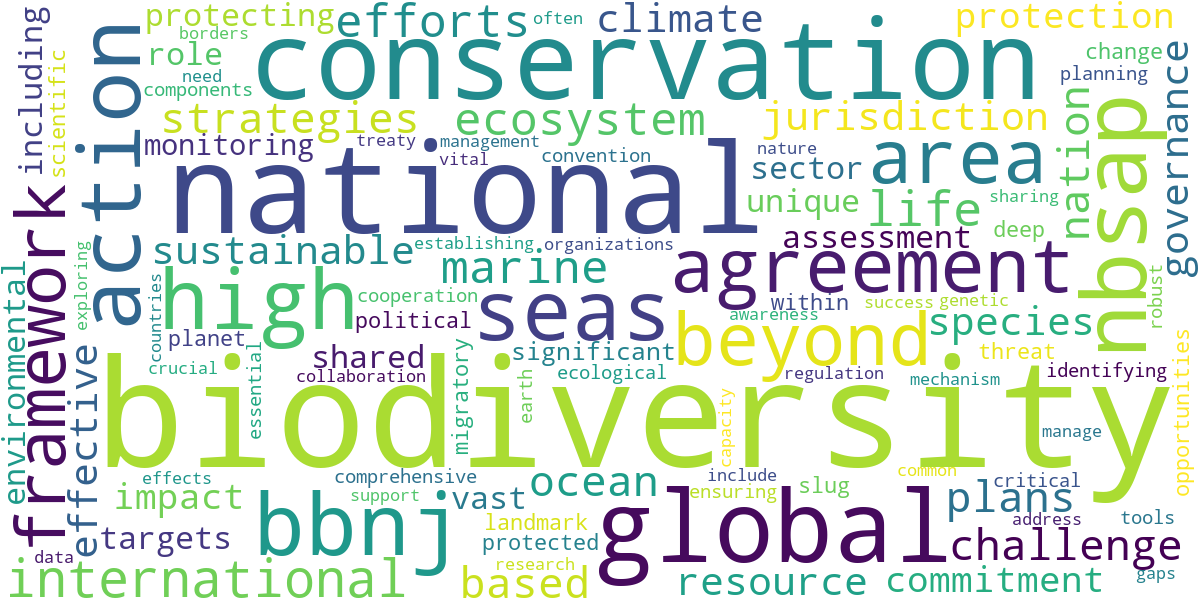 Word cloud for article: National Biodiversity Strategies: Protecting Life Within and Beyond Borders