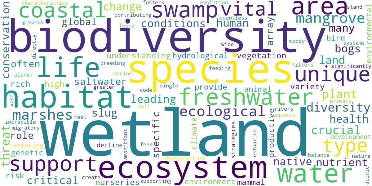 Word cloud for article: Wetlands and Biodiversity: A Vital Ecosystem